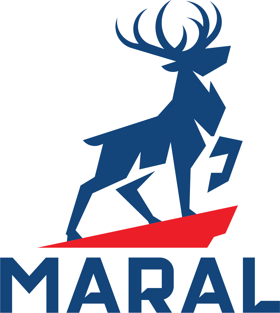  Maral Sanat Javid: The Trailer Industry Leader 